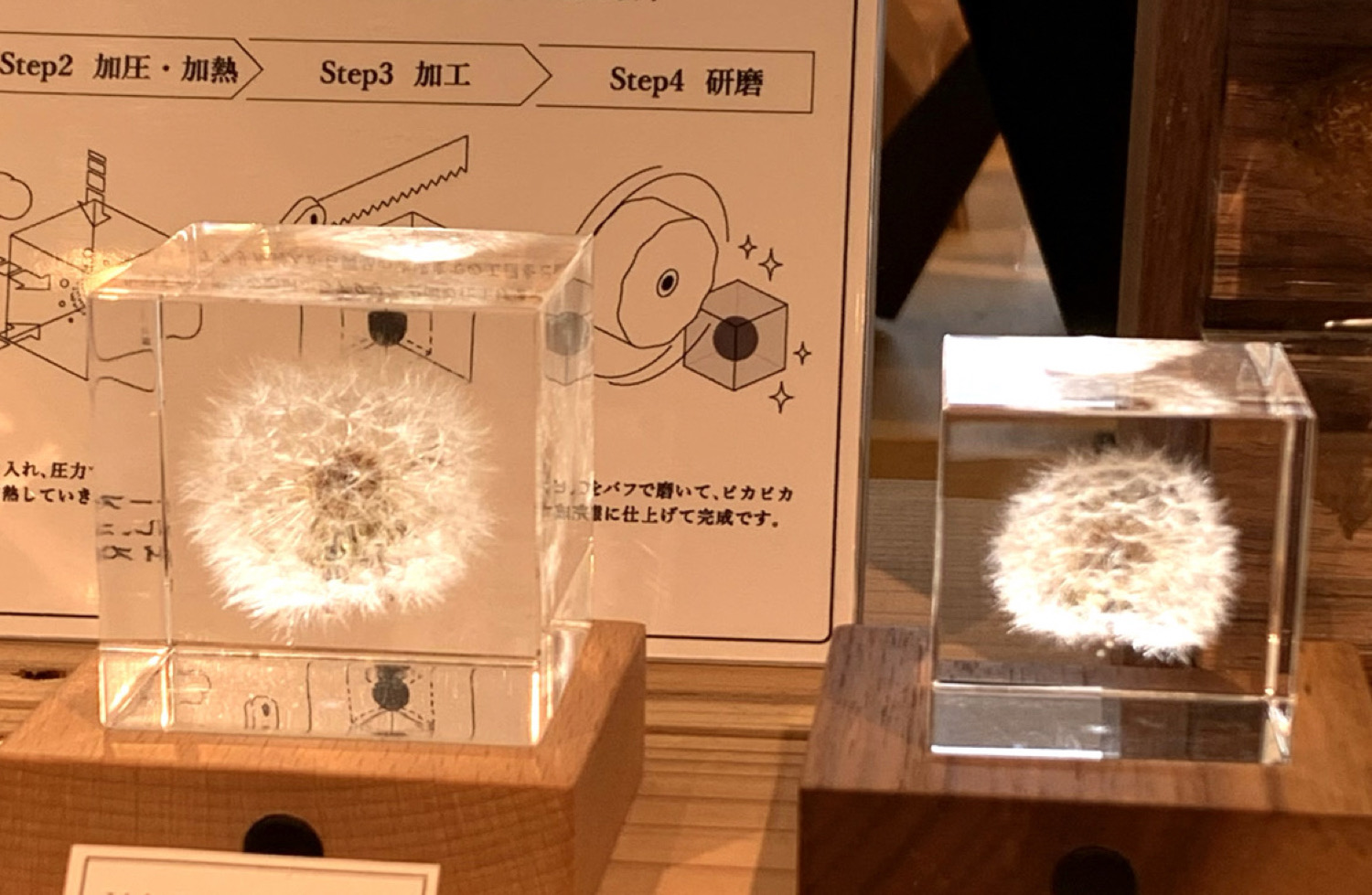 「Sola cube」 タンポポ (4cm角) ウサギノネドコ東京